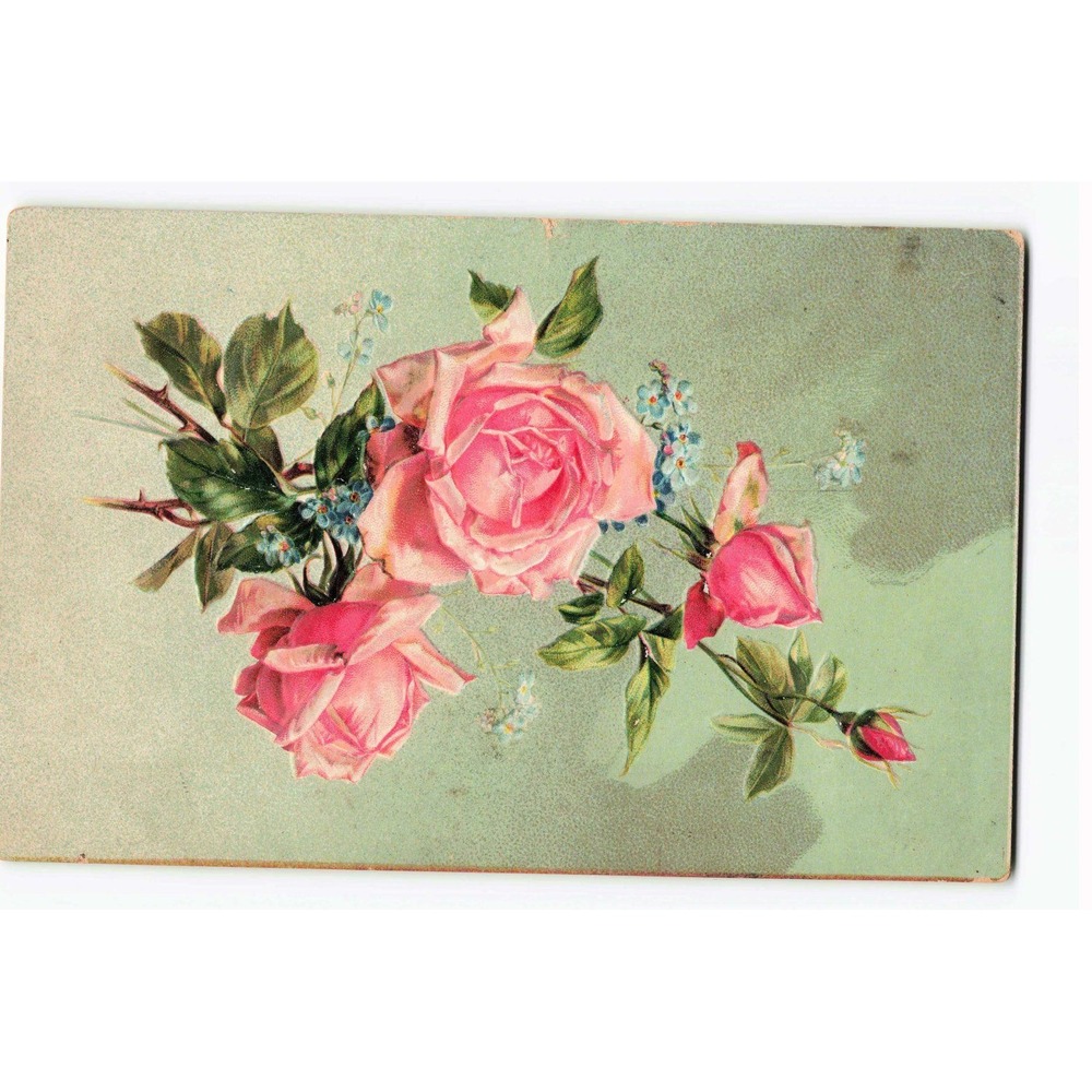 Vintage Raphael Tuck Floral Favors Postcard 126 Pink Roses 1907 Franklin Stamp